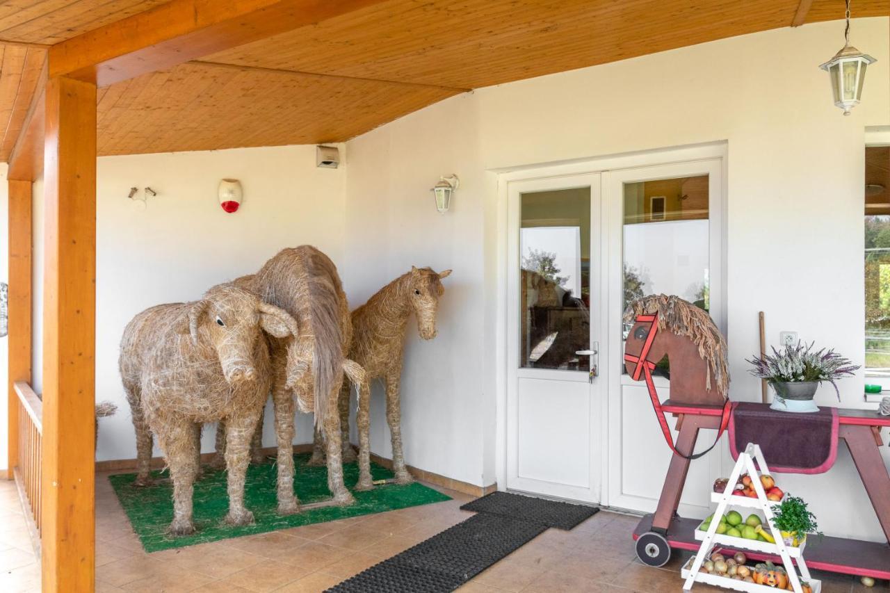 Farma Slunecny Dvur Apartmany A Family Stany Strecha Pod Strechou Hermanuv Mestec Экстерьер фото